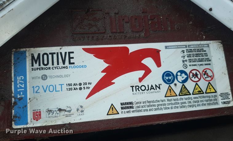 image for item NV9326 2009 Ez-go Textron  golf cart