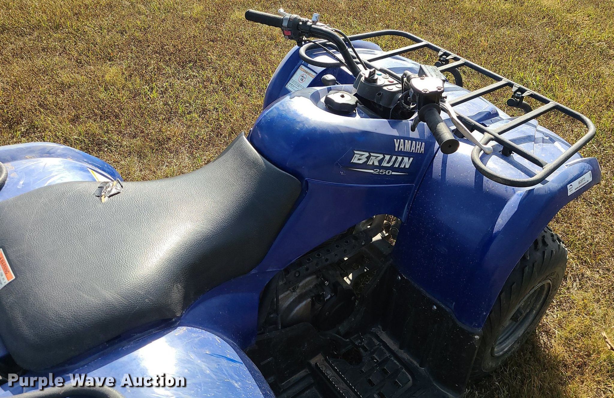 2006 Yamaha Bruin 250 ATV in Warrensburg, MO Item MG9772 sold