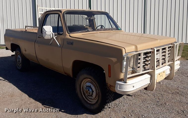 image for item EB9784 1976 Chevrolet Custom Deluxe 20  pickup truck