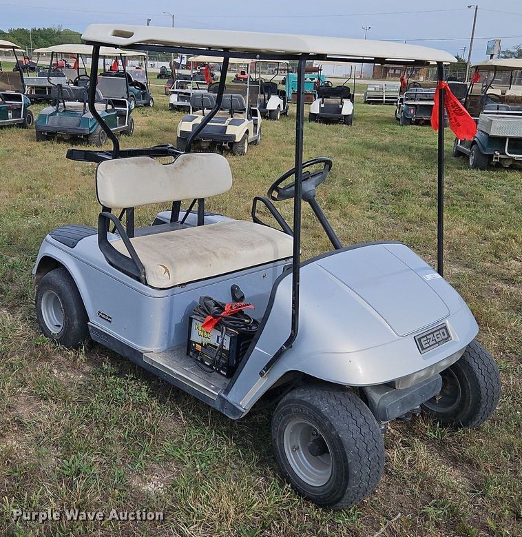 image for item LM9164 E-Z Go Freedom  golf cart
