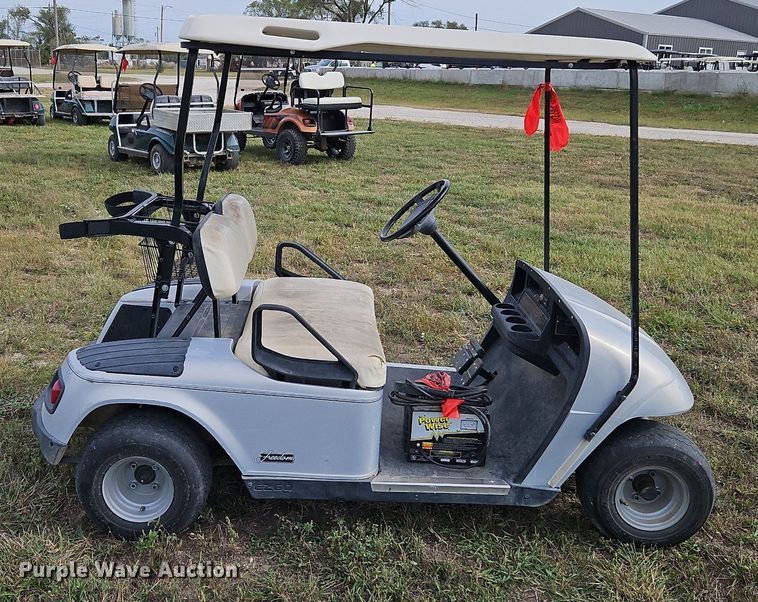 image for item LM9164 E-Z Go Freedom  golf cart