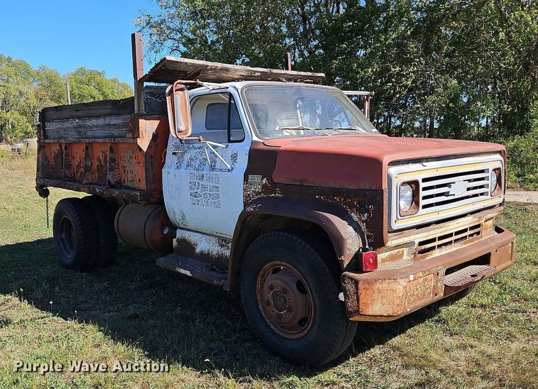 image for item LM9209 1973 Chevrolet C60  dump truck
