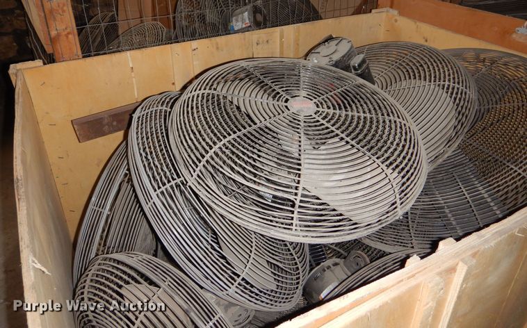 image for item NJ9877 Approximately 45 fans