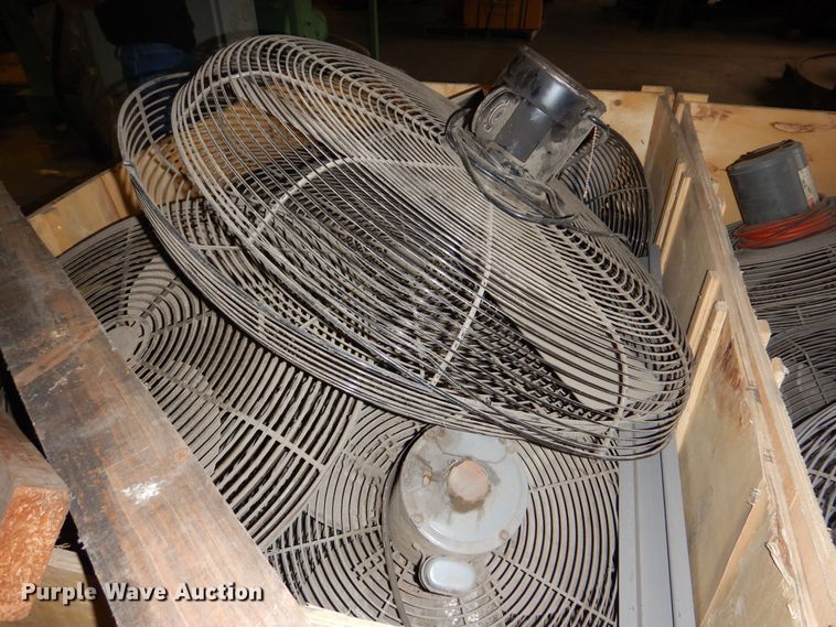 image for item NJ9877 Approximately 45 fans