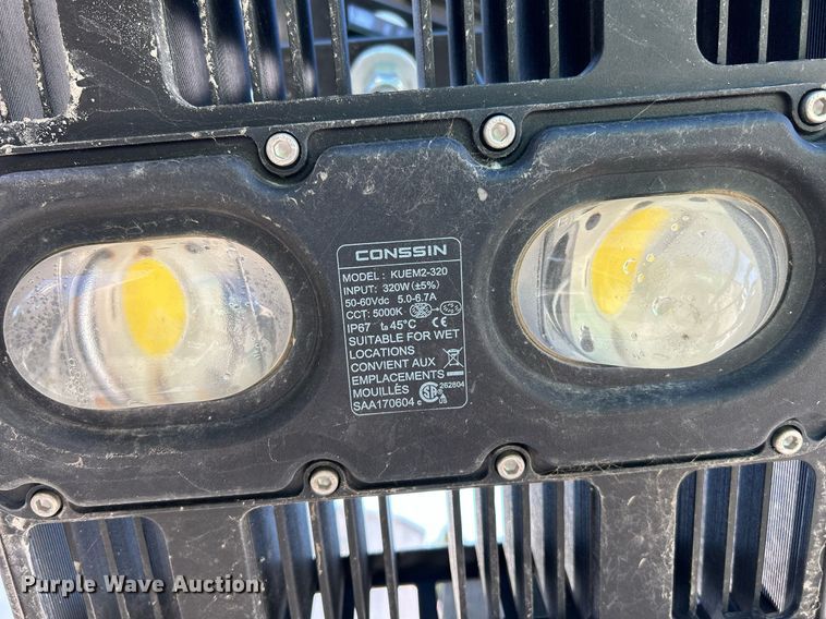 image for item NQ9928 (3) light plants