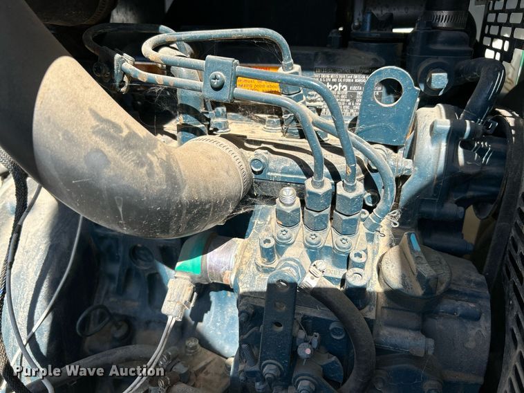 image for item NQ9928 (3) light plants