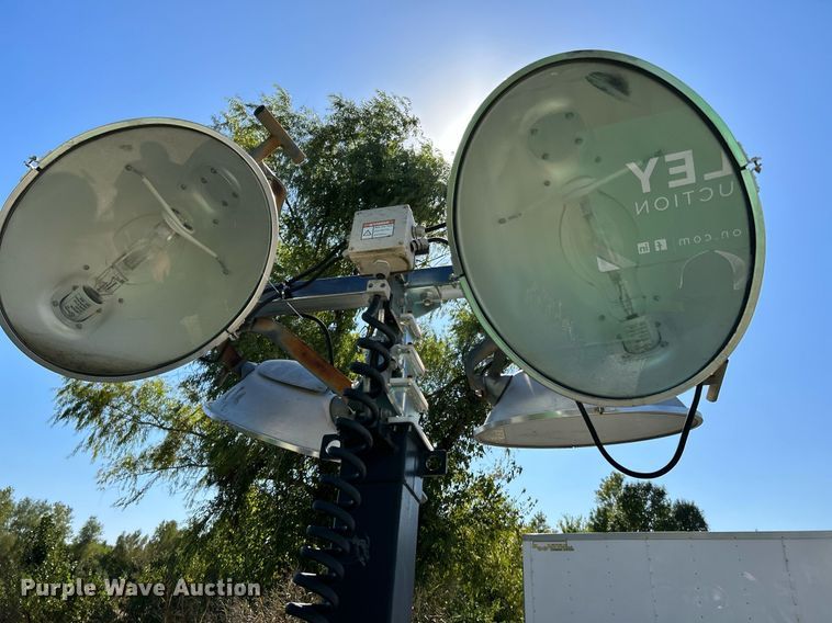 image for item NQ9928 (3) light plants