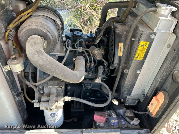 image for item NQ9928 (3) light plants