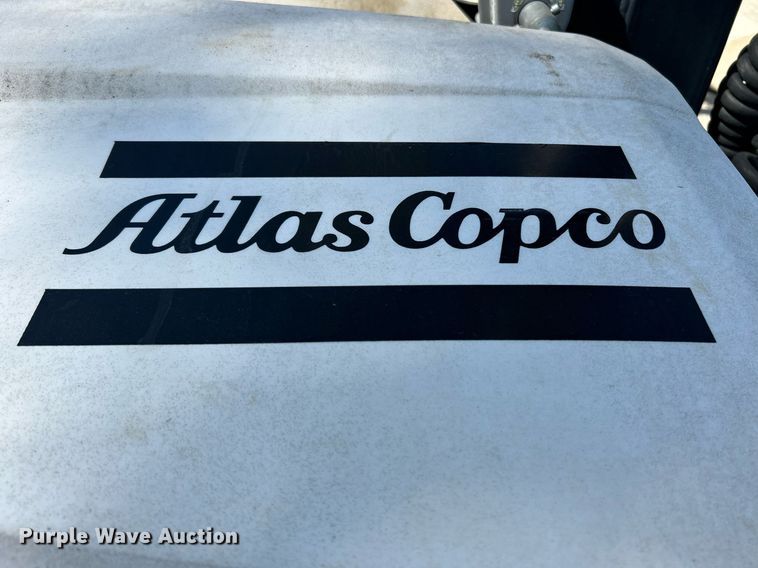 image for item NQ9928 (3) light plants