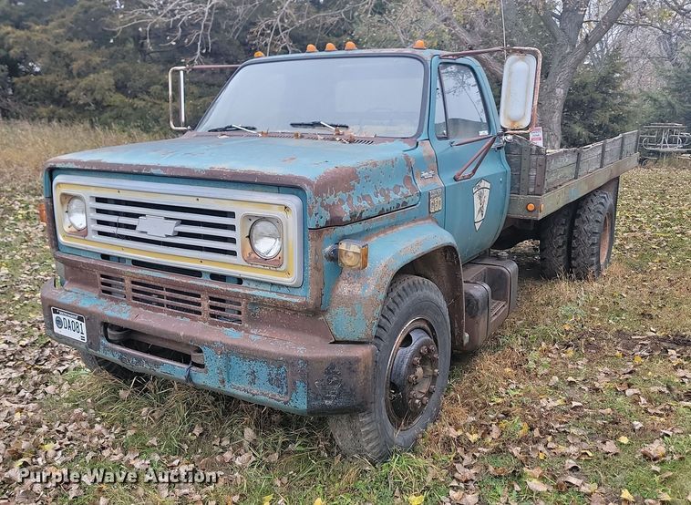 image for item JG9696 1975  Chevrolet CE619  dump flatbed truck