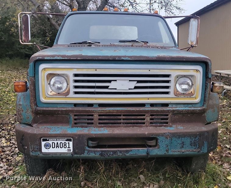 image for item JG9696 1975  Chevrolet CE619  dump flatbed truck