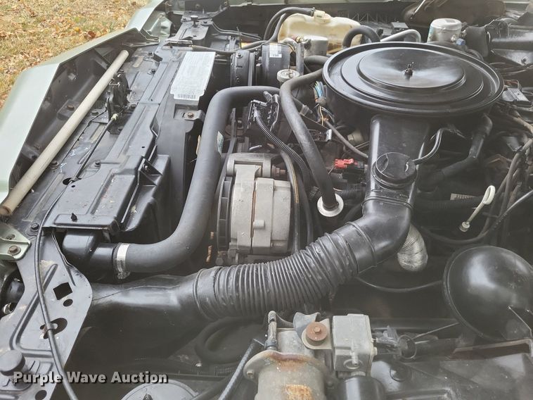 image for item MI9810 1985 Buick Riviera