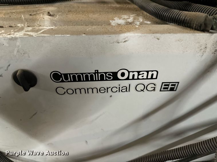 image for item DW2903 Onan  generators