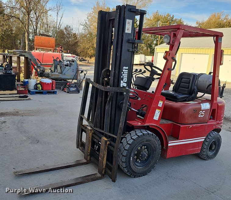 image for item DS5689 Tailift FG25P-GML  forklift