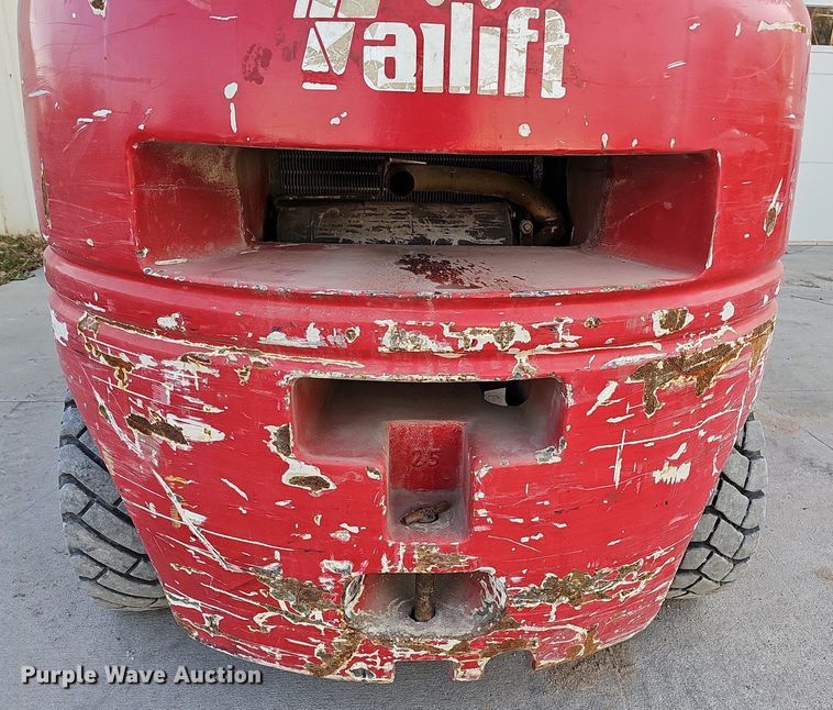 image for item DS5689 Tailift FG25P-GML  forklift