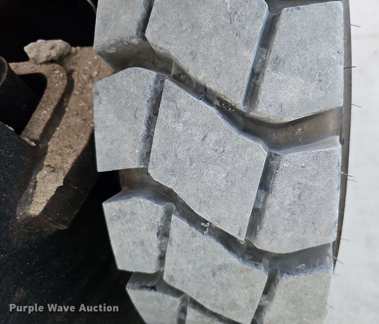 image for item DS5689 Tailift FG25P-GML  forklift