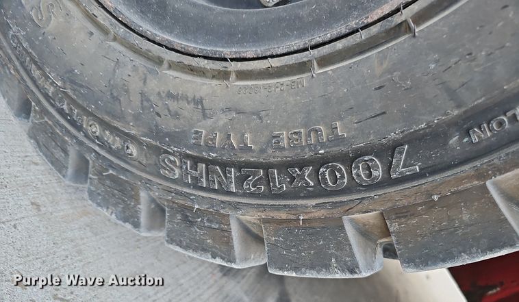 image for item DS5689 Tailift FG25P-GML  forklift