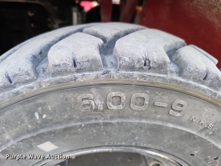 image for item DS5689 Tailift FG25P-GML  forklift