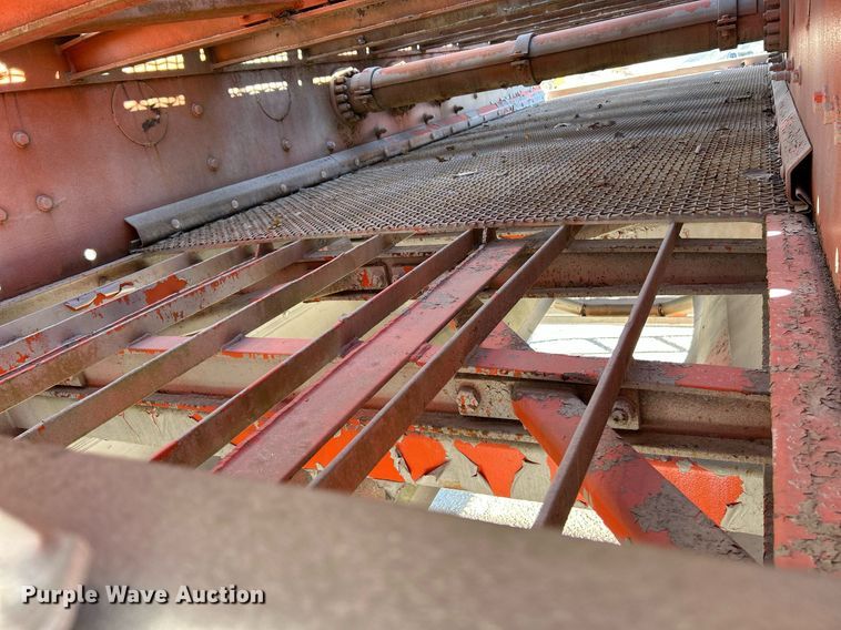 image for item NR9447 Eagle OA  screening plant