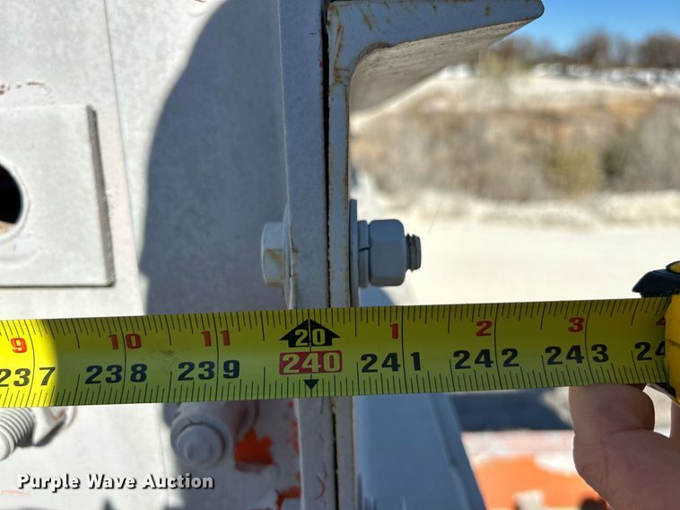 image for item NR9447 Eagle OA  screening plant