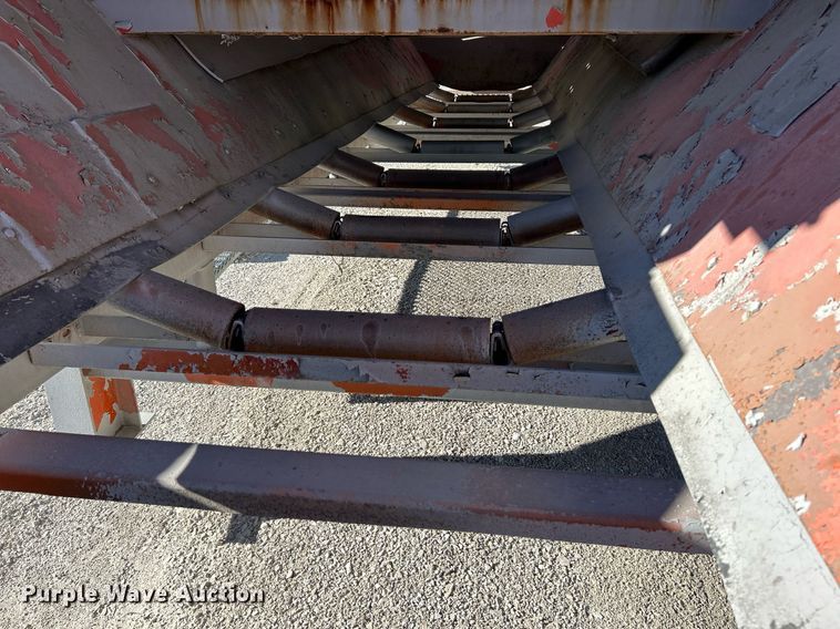 image for item NR9447 Eagle OA  screening plant