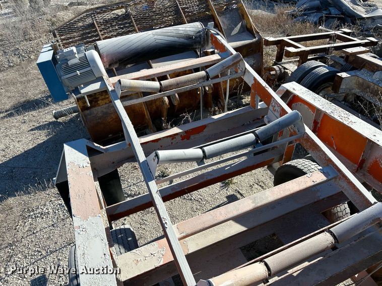 image for item NR9447 Eagle OA  screening plant