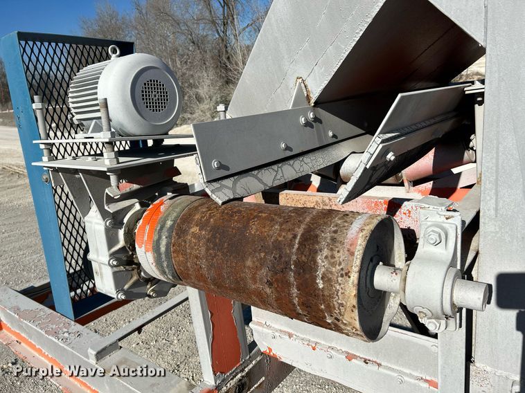 image for item NR9447 Eagle OA  screening plant