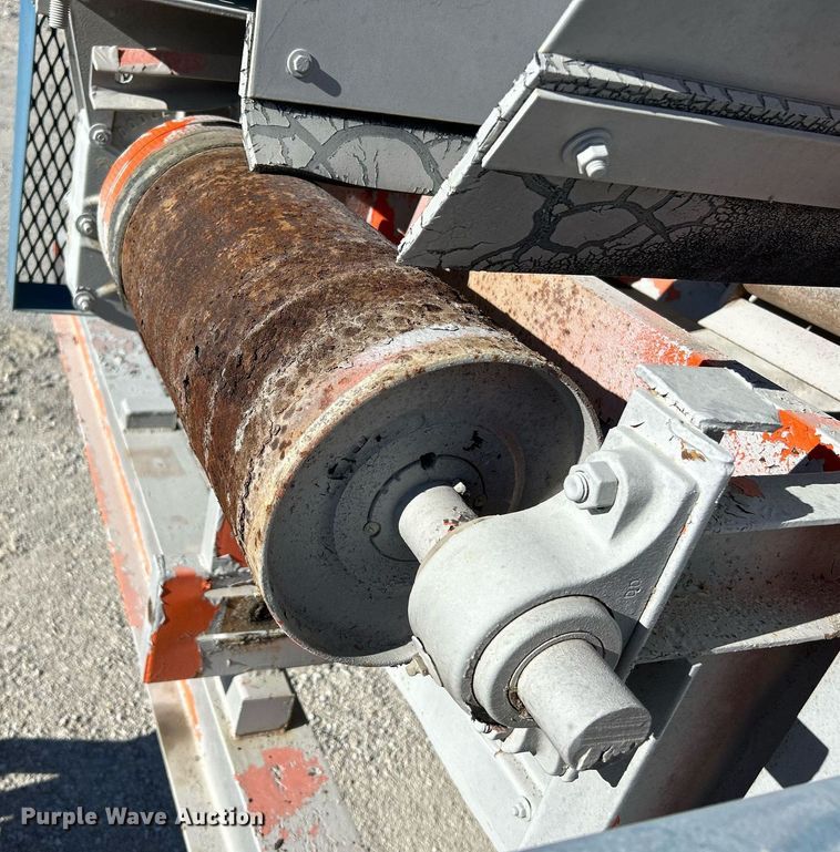 image for item NR9447 Eagle OA  screening plant