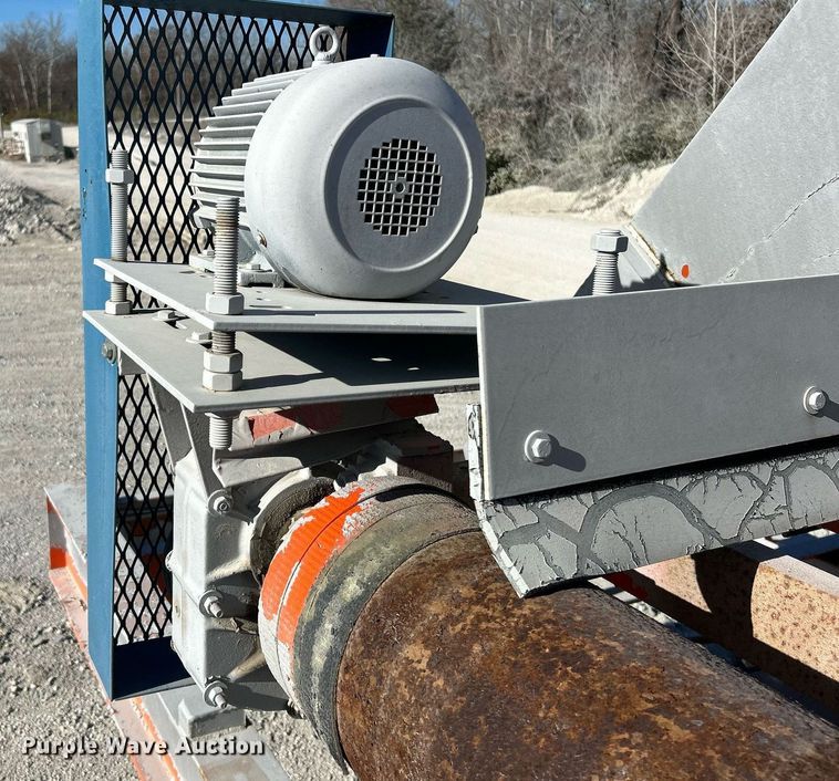 image for item NR9447 Eagle OA  screening plant