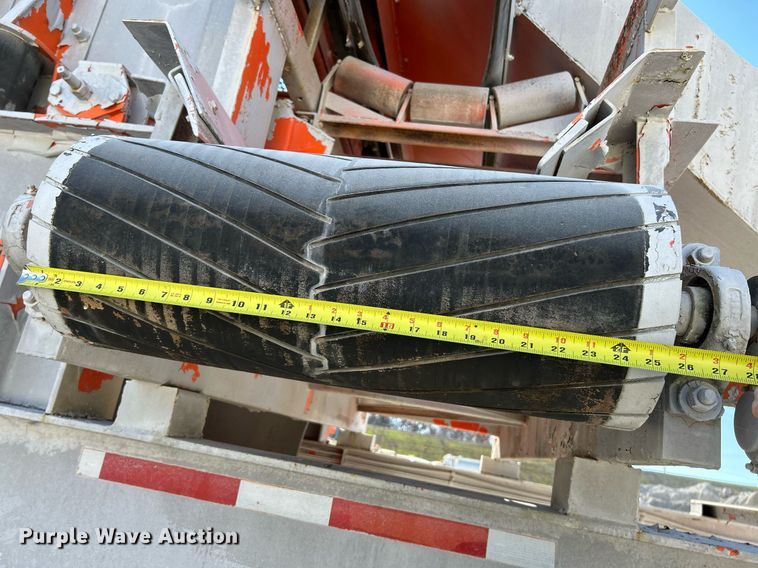 image for item NR9447 Eagle OA  screening plant