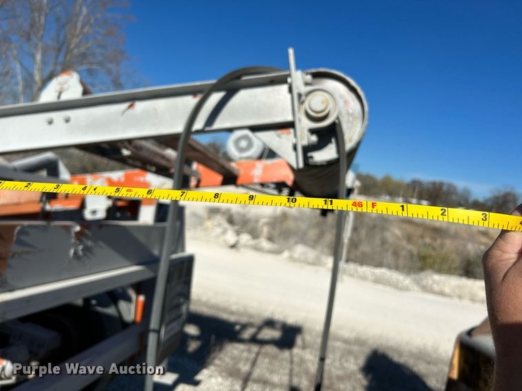 image for item NR9447 Eagle OA  screening plant