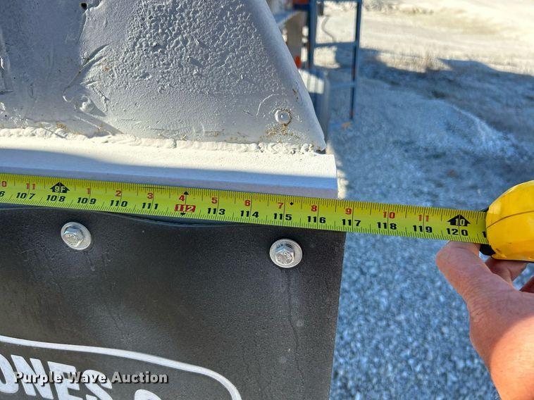 image for item NR9447 Eagle OA  screening plant