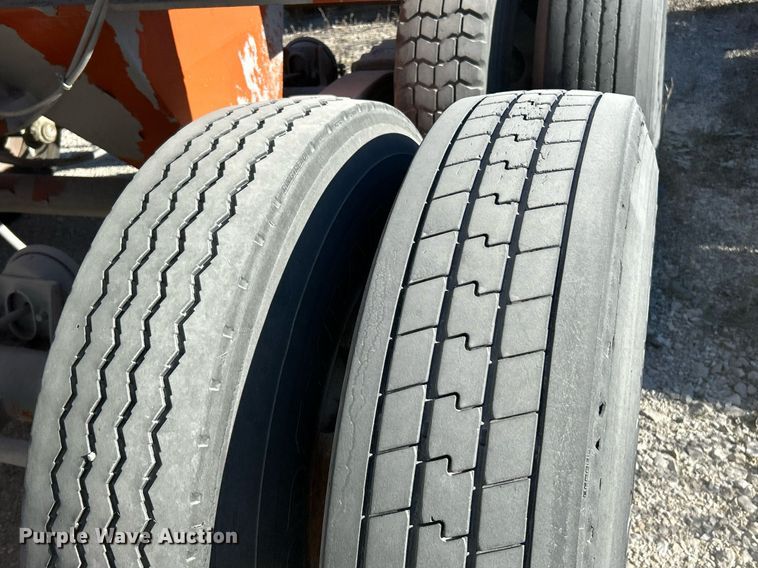 image for item NR9447 Eagle OA  screening plant