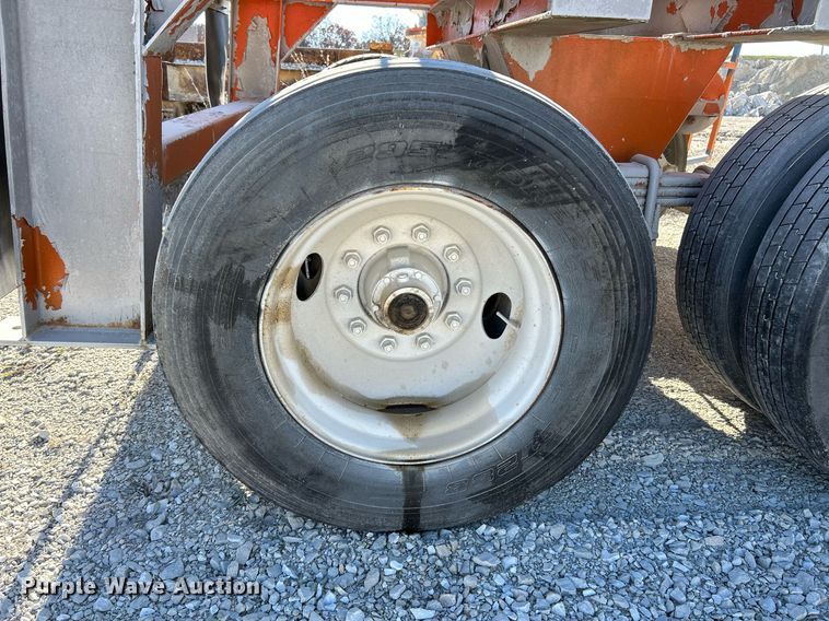 image for item NR9447 Eagle OA  screening plant