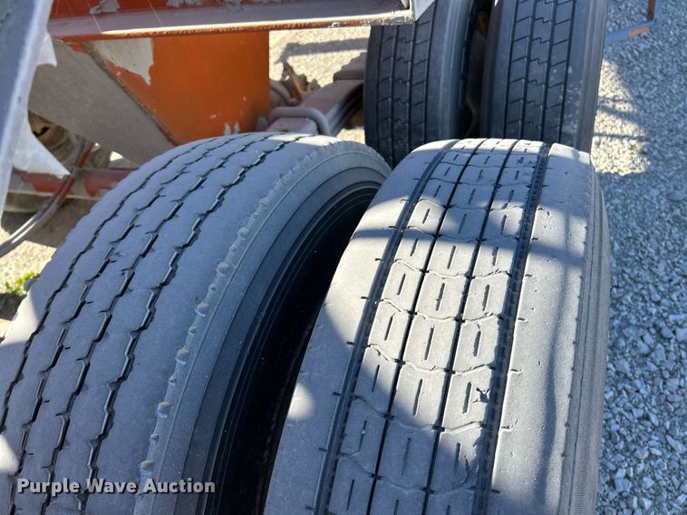 image for item NR9447 Eagle OA  screening plant