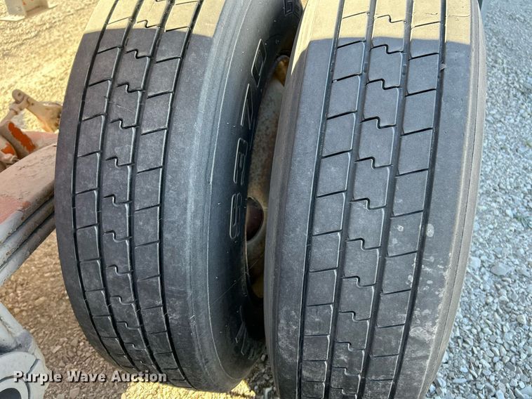 image for item NR9447 Eagle OA  screening plant