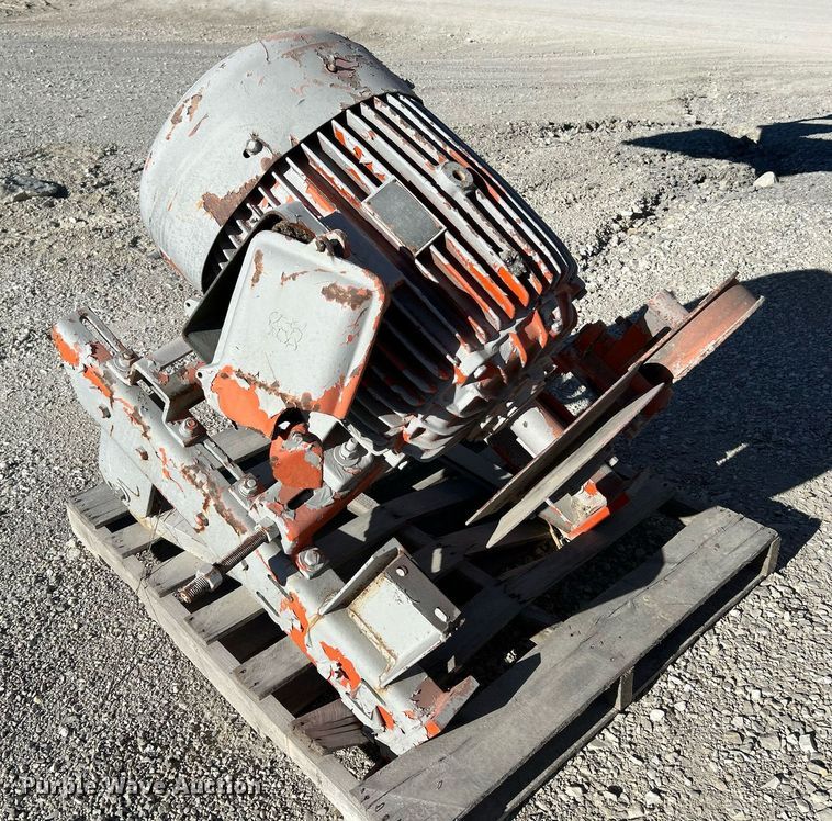 image for item NR9447 Eagle OA  screening plant