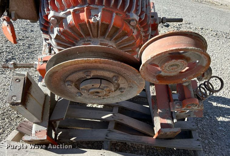 image for item NR9447 Eagle OA  screening plant