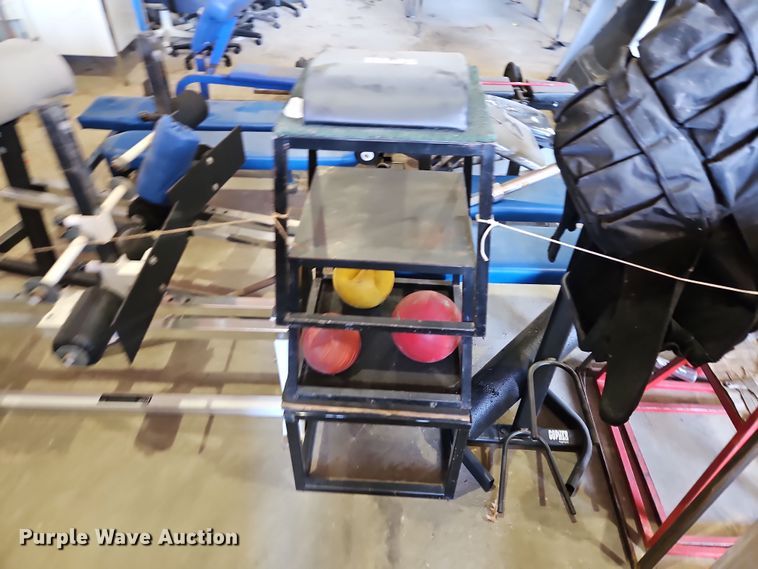 image for item LB9608 Gym equipment