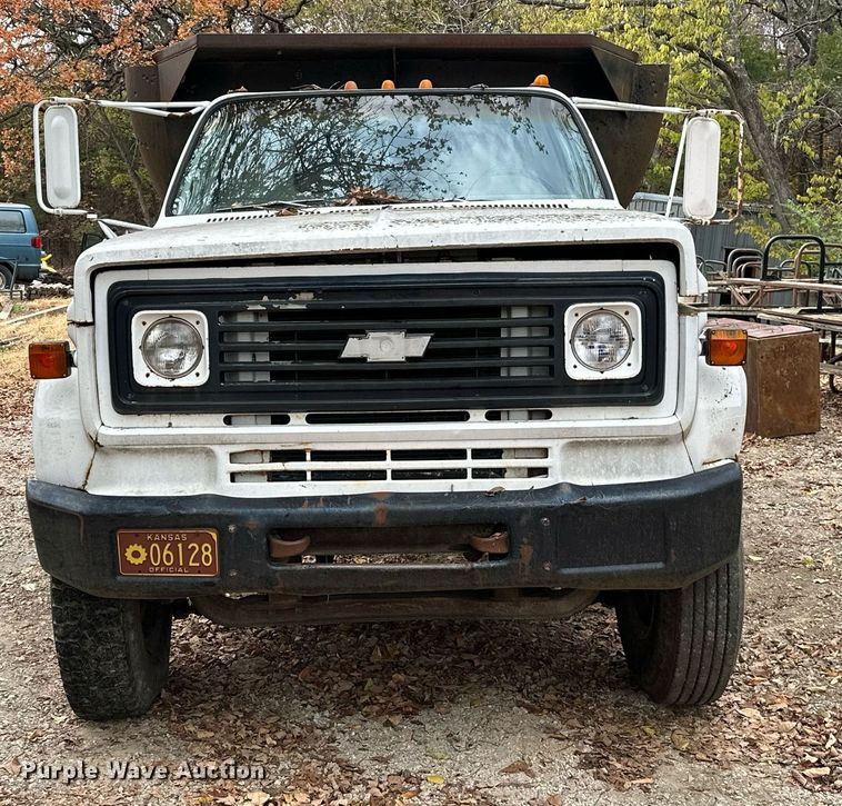 image for item NO9344 1974 Chevrolet C65  dump truck