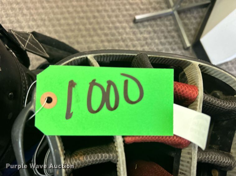 image for item OM9178 (2) golf bags