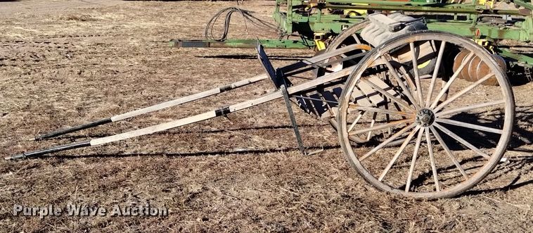 image for item LN9875 Horse carriage