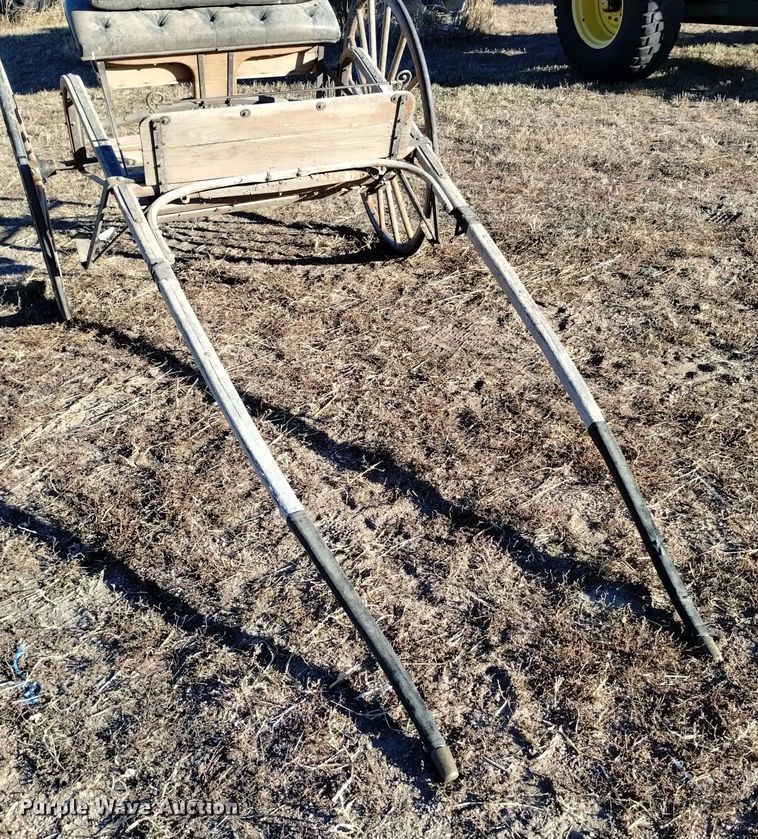 image for item LN9875 Horse carriage