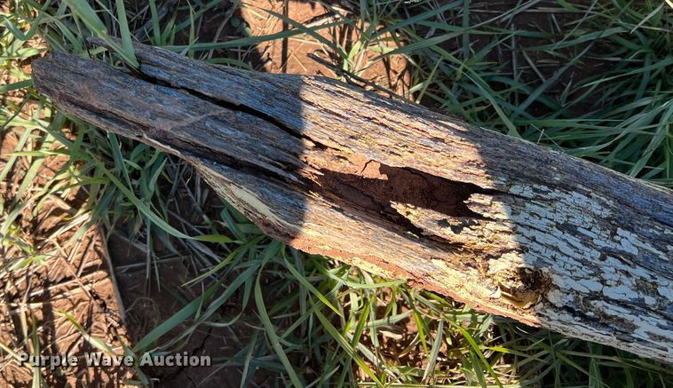 image for item LV9160 Wagon