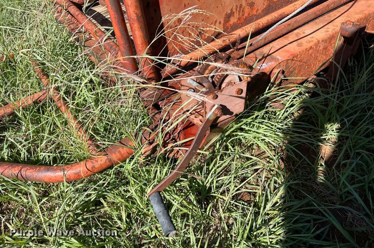 image for item LV9165 Livestock scale