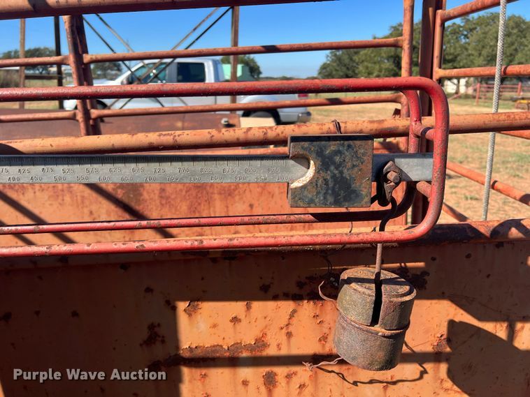 image for item LV9165 Livestock scale