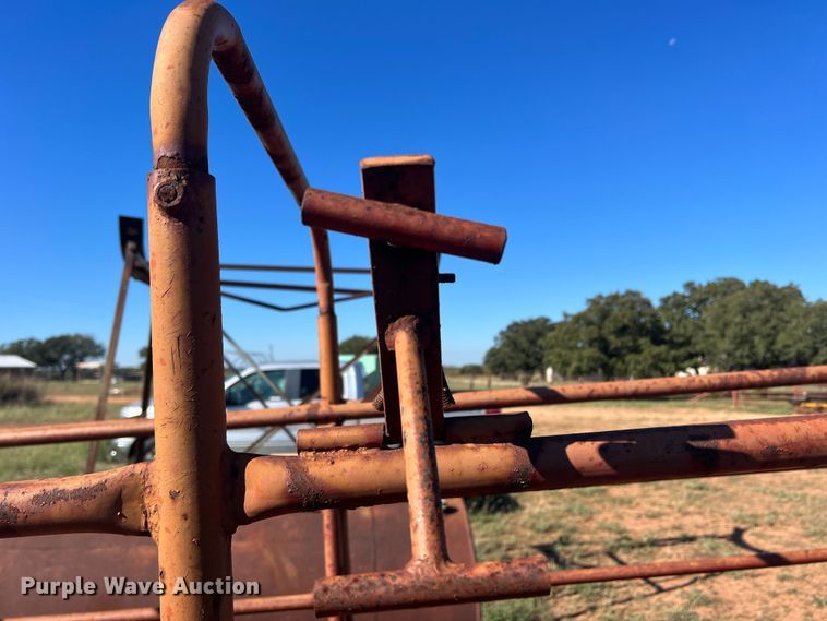 image for item LV9165 Livestock scale