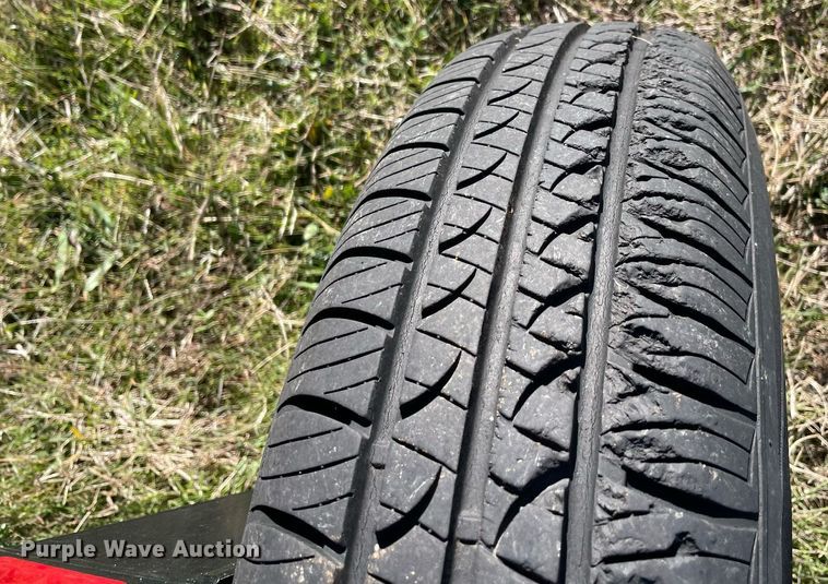 image for item LV9241 Hay rake