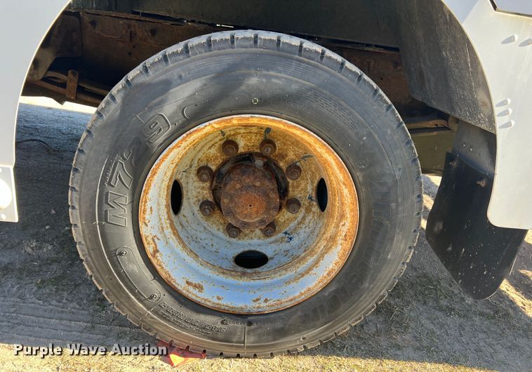 image for item DS2479 2008 Workhorse W62  delivery truck