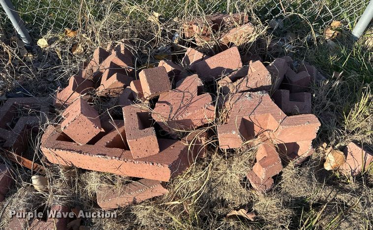 image for item LK9656 Approximately (80) bricks